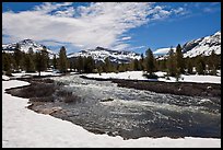 Creek flowing in snow-covered high country landscape. Yosemite National Park, California, USA.