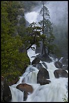 Cascade Creek spring run-off. Yosemite National Park ( color)