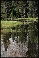 Cathedral Rocks reflected in seasonal pond. Yosemite National Park, California, USA. (color)