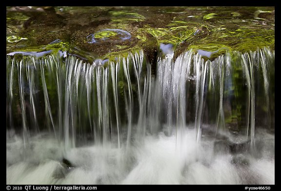 Cascading water, Fern Spring. Yosemite National Park, California, USA.