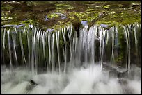 Cascading water, Fern Spring. Yosemite National Park, California, USA. (color)