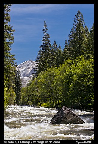 High waters and rapids in Merced River. Yosemite National Park, California, USA.