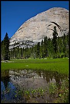 Half-Dome reflected in Lost Lake. Yosemite National Park, California, USA. (color)