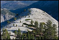 Granite exfoliation North Dome. Yosemite National Park, California, USA.