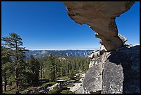 Indian Rock arch and forest, morning. Yosemite National Park, California, USA.