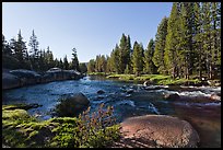 Lyell Fork of the Tuolumne River, afternoon. Yosemite National Park, California, USA.