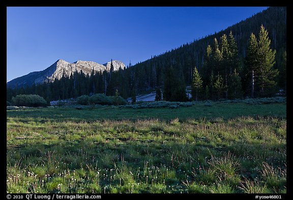 Meadow and Potter Point, Lyell Canyon. Yosemite National Park (color)