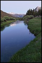 Tuolumne River in Lyell Canyon, dusk. Yosemite National Park ( color)