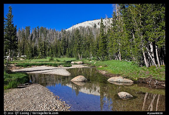 Stream in Long Meadow. Yosemite National Park (color)
