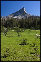 Meadow and Tressider Peak. Yosemite National Park, California, USA. (color)