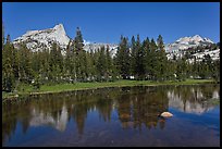 Cathedral range reflected in stream. Yosemite National Park, California, USA.