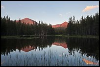 Mt Dana and Mt Gibbs reflected in tarn at sunset. Yosemite National Park ( color)