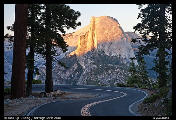 Half-Dome seen from road near Washburn Point. Yosemite National Park, California, USA.