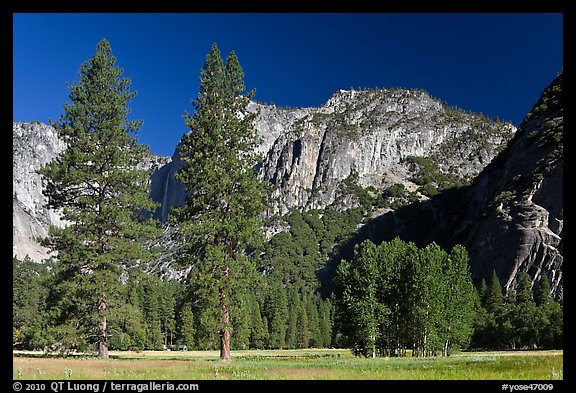 Ahwanhee Meadow, summer. Yosemite National Park (color)