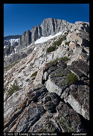 Sierra Nevada Crest Ridge leading to  North Peak. Yosemite National Park, California, USA.