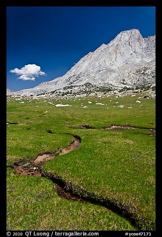 Alpine meadows, meandering stream, and Mount Conness. Yosemite National Park, California, USA.