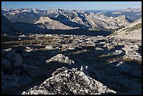 Domes and mountains from rocky plateau, Mount Conness. Yosemite National Park, California, USA.