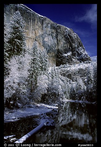 East Face of El Capitan and Merced River in winter. Yosemite National Park (color)