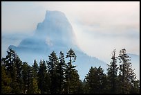 Half-Dome, clearing fog. Yosemite National Park ( color)