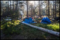 Bridalveil Creek Campground. Yosemite National Park, California, USA.