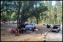 Wavona Campground. Yosemite National Park, California, USA.
