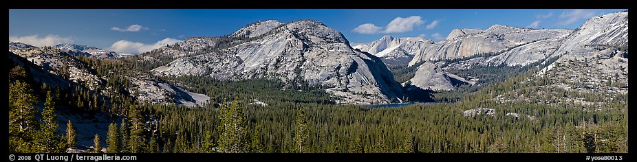 Granite domes and Tenaya Lake. Yosemite National Park (color)
