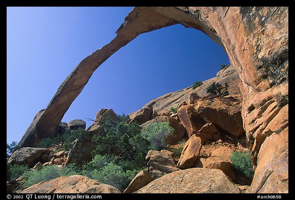 Landscape Arch, morning. Arches National Park