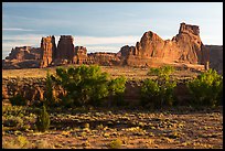 Cottonwoods of Courthouse Wash and Courthouse Towers. Arches National Park, Utah, USA. (color)