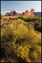 Shrub, cottonwoods and sandstone towers. Arches National Park, Utah, USA. (color)