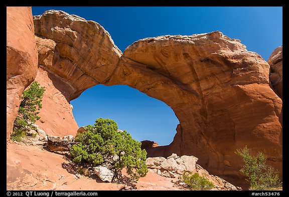 Juniper and Broken Arch. Arches National Park (color)