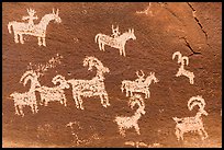 Ute Petroglyphs. Arches National Park, Utah, USA. (color)