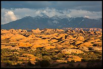 Petrified dunes and cloudy La Sal mountains. Arches National Park ( color)