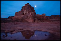 Courthouse tower and moon reflected in pothole. Arches National Park, Utah, USA. (color)