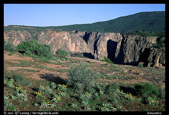 Plateau and gorge. Black Canyon of the Gunnison National Park (color)