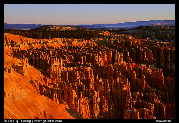 Silent City in Bryce Amphitheater from Bryce Point, sunrise. Bryce Canyon National Park (color)