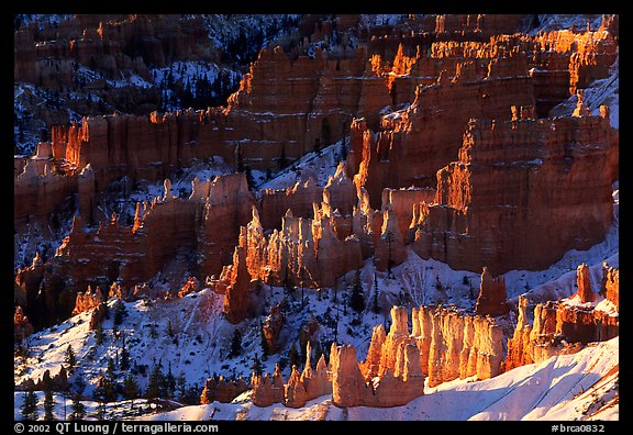 Bryce Amphitheater from Sunrise Point, early morning. Bryce Canyon National Park