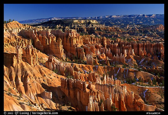 Queen's Garden from Sunset Point, morning. Bryce Canyon National Park, Utah, USA.