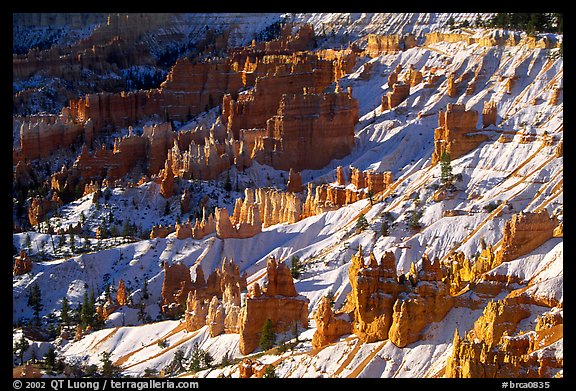 Hoodoos and snow in Bryce Amphitheater, early morning. Bryce Canyon National Park, Utah, USA.