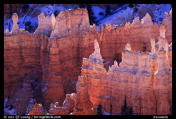 Backlit Hoodoos,  mid-morning. Bryce Canyon National Park