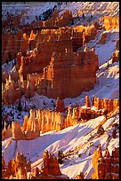 Bryce Amphitheater from Sunrise Point, winter sunrise. Bryce Canyon National Park, Utah, USA. (color)