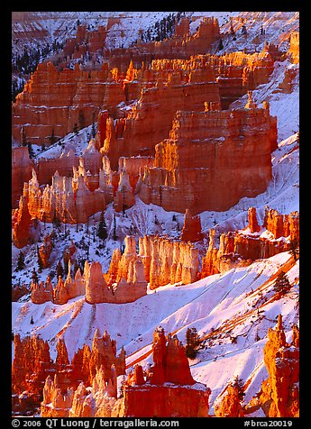 Hoodoos and snow from Sunrise Point,  winter sunrise. Bryce Canyon National Park (color)