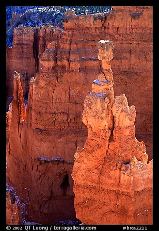 Thor's Hammer. Bryce Canyon National Park (color)