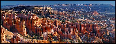 Densely aligned pinnacles in horseshoe-shaped amphitheaters along edge of Pausaugunt Plateau. Bryce Canyon National Park, Utah, USA.