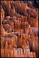Easily eroded and soft limestone hoodoos. Bryce Canyon National Park, Utah, USA. (color)