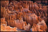 Pinnacles, hoodoos, and fluted walls. Bryce Canyon National Park, Utah, USA. (color)