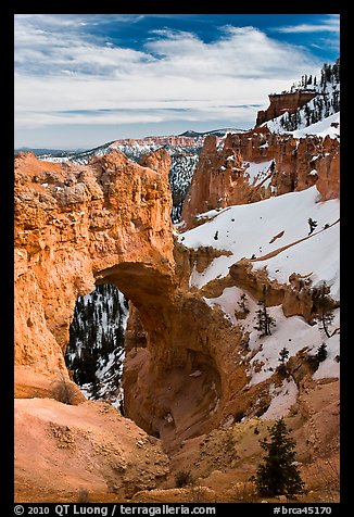 Pink limestone arch. Bryce Canyon National Park, Utah, USA.