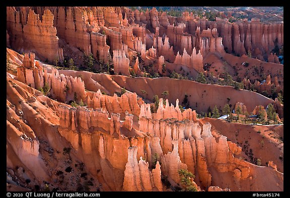 Glowing hoodoos in Queen's garden. Bryce Canyon National Park (color)