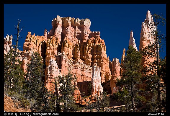 Hoodoos capped with magnesium-rich limestone. Bryce Canyon National Park, Utah, USA.