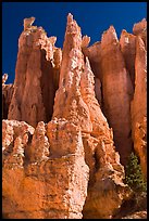 Weathered Claron formation limestone. Bryce Canyon National Park, Utah, USA. (color)