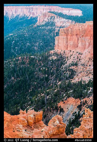 Pink cliffs. Bryce Canyon National Park (color)
